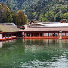 投稿日:2024年3月31日 写真