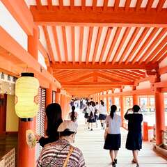 投稿日:2025年10月21日 写真