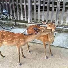 投稿日:2016年7月13日 写真