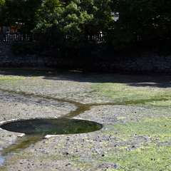 投稿日:2017年11月5日 写真