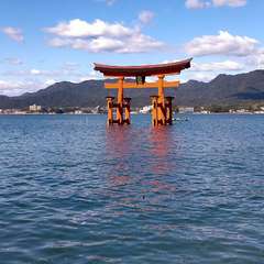 投稿日:2023年11月5日 写真