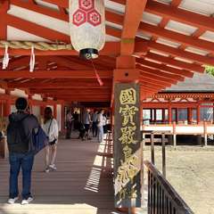 投稿日:2024年5月17日 写真