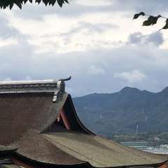 投稿日:2019年10月8日 写真