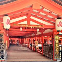 投稿日:2025年8月24日 写真