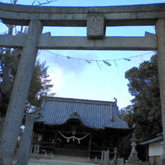 新宮八幡宮(投稿日:2025年8月6日) 写真
