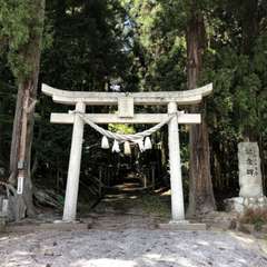 🔻 みろく菩薩の御所望 dé 天満神社(投稿日:2024年12月24日) 写真