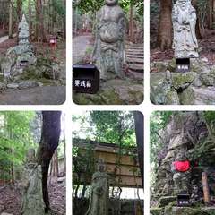 投稿日:2020年5月5日 写真