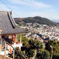 投稿日:2019年2月23日 写真