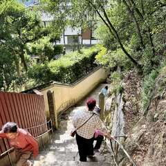 投稿日:2025年10月22日 写真