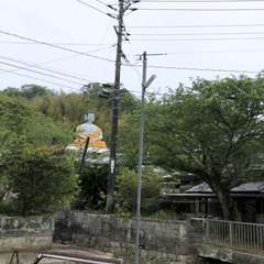 🔻 みろく菩薩の御所望 dé 大窪寺へ(投稿日:2024年12月24日) 写真