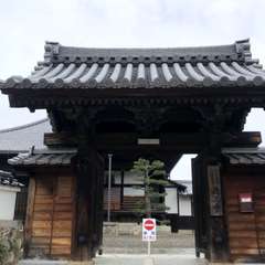 🔻 みろく菩薩の御所望 dé 徳正寺(投稿日:2024年12月24日) 写真