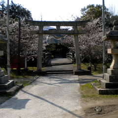 杜屋神社(投稿日:2025年7月12日) 写真