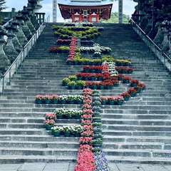 投稿日:2024年5月7日 写真