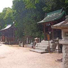 投稿日:2021年5月28日 写真