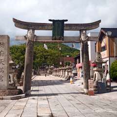 投稿日:2021年5月28日 写真