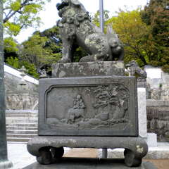 投稿日:2025年7月12日 写真