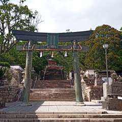 投稿日:2021年5月28日 写真