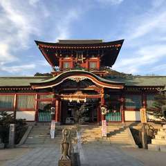 投稿日:2022年6月28日 写真