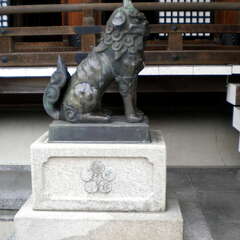 投稿日:2025年7月12日 写真