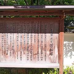 投稿日:2021年5月28日 写真