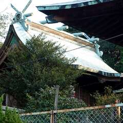 写真