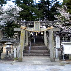 飯山八幡宮(投稿日:2025年7月12日) 写真