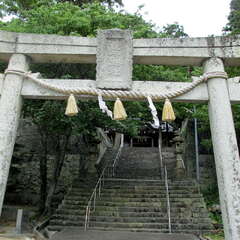 住吉神社(投稿日:2025年6月29日) 写真