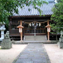 松戸八幡宮(投稿日:2025年6月29日) 写真