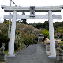 桜田八幡宮(投稿日:2025年7月12日) 写真