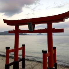 🔻みろく菩薩の御所望 dé 厳島神社にて消災祈願(投稿日:2025年1月26日) 写真