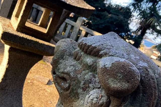 写真