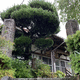 白猿山 薬師寺