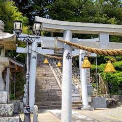 写真