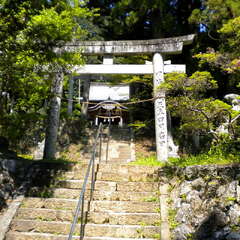 八幡神社(投稿日:2025年7月12日) 写真