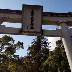 下の大鳥居(投稿日:2017年2月17日) 写真