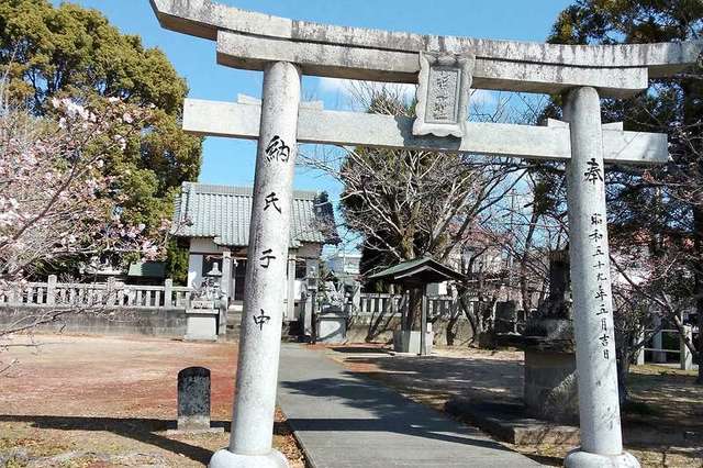 写真