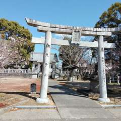 写真