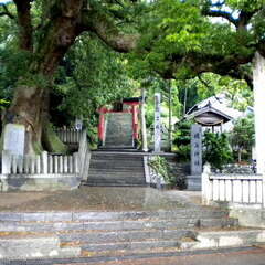岡上神社(投稿日:2025年7月12日) 写真