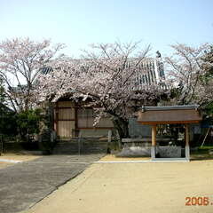 八幡神社(投稿日:2025年8月4日) 写真