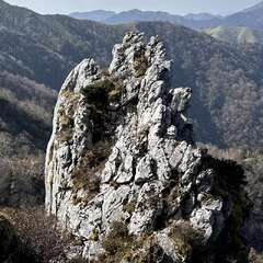 大剣神社(投稿日:2025年11月10日) 写真