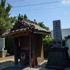 投稿日:2024年8月14日 写真