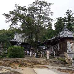 投稿日:2019年9月26日 写真