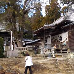 投稿日:2015年2月22日 写真