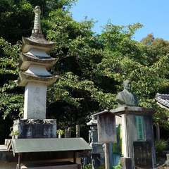 投稿日:2024年8月14日 写真