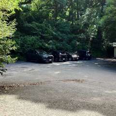 投稿日:2025年7月21日 写真