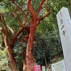 投稿日:2025年7月21日 写真