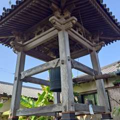 投稿日:2024年9月7日 写真