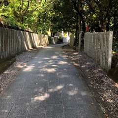 投稿日:2020年9月19日 写真