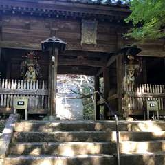 投稿日:2020年9月19日 写真