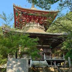 四国88ヶ所第8番札所、熊谷寺。多宝塔が鮮やかです(投稿日:2024年9月7日) 写真